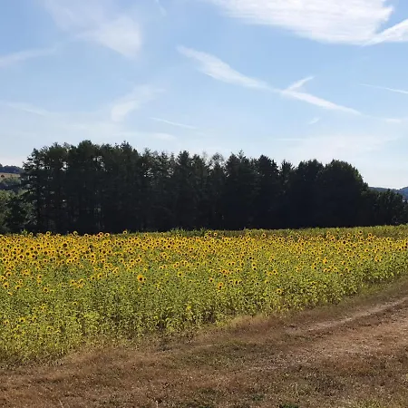 Ferienwohnung Im Siebengebirge Naehe Koeln/Bonn Königswinter Exterior foto
