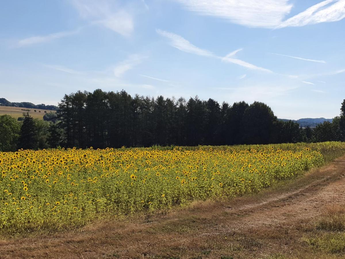 Im Siebengebirge Naehe Koeln/bonn
